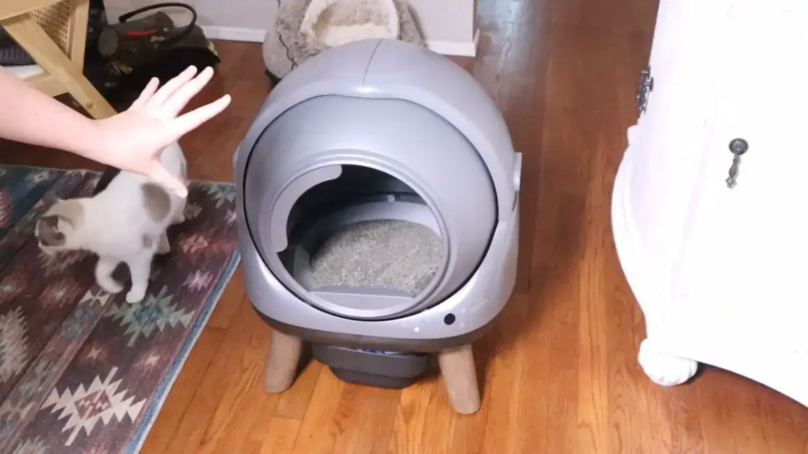 Product review image